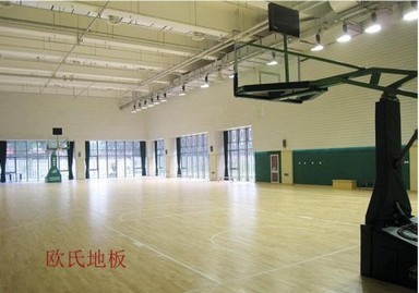 曲阜運(yùn)動(dòng)木地板廠(chǎng)家哪個(gè)好